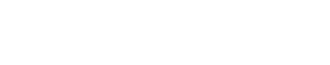 Novelingo